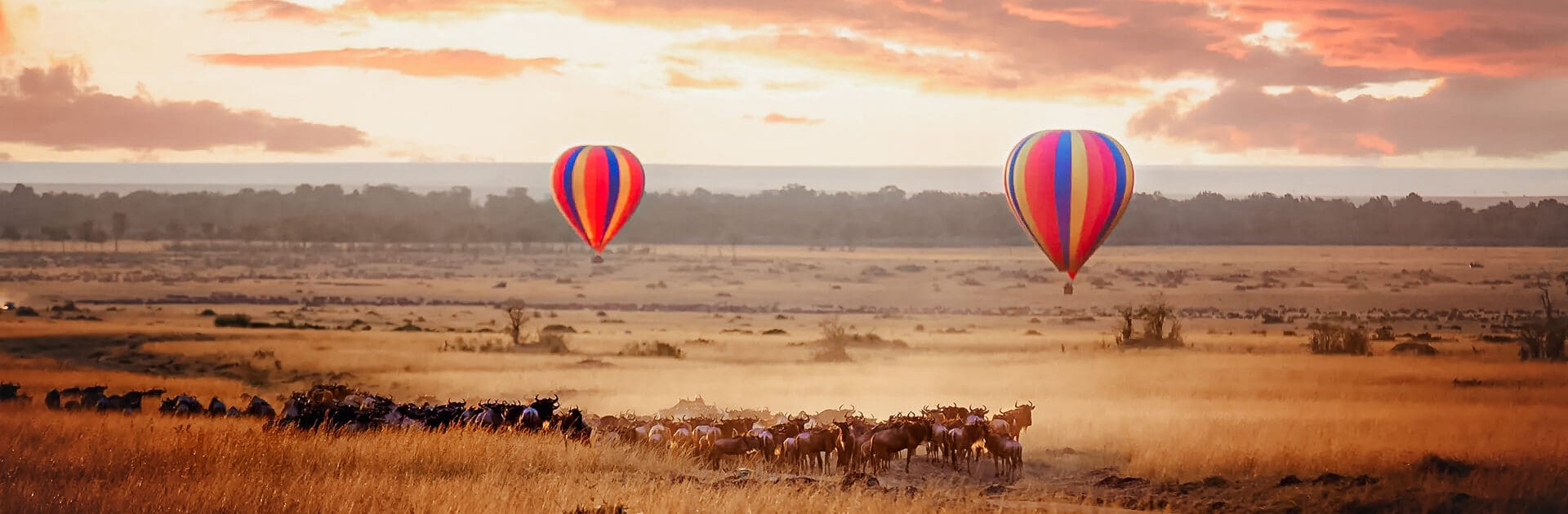 Amanecer sobre el Masai Mara, con un par de globos aerostáticos volando bajo y una manada de ñus debajo en la típica hierba roja de avena de la región. En Kenia, durante la Gran Migración anual.