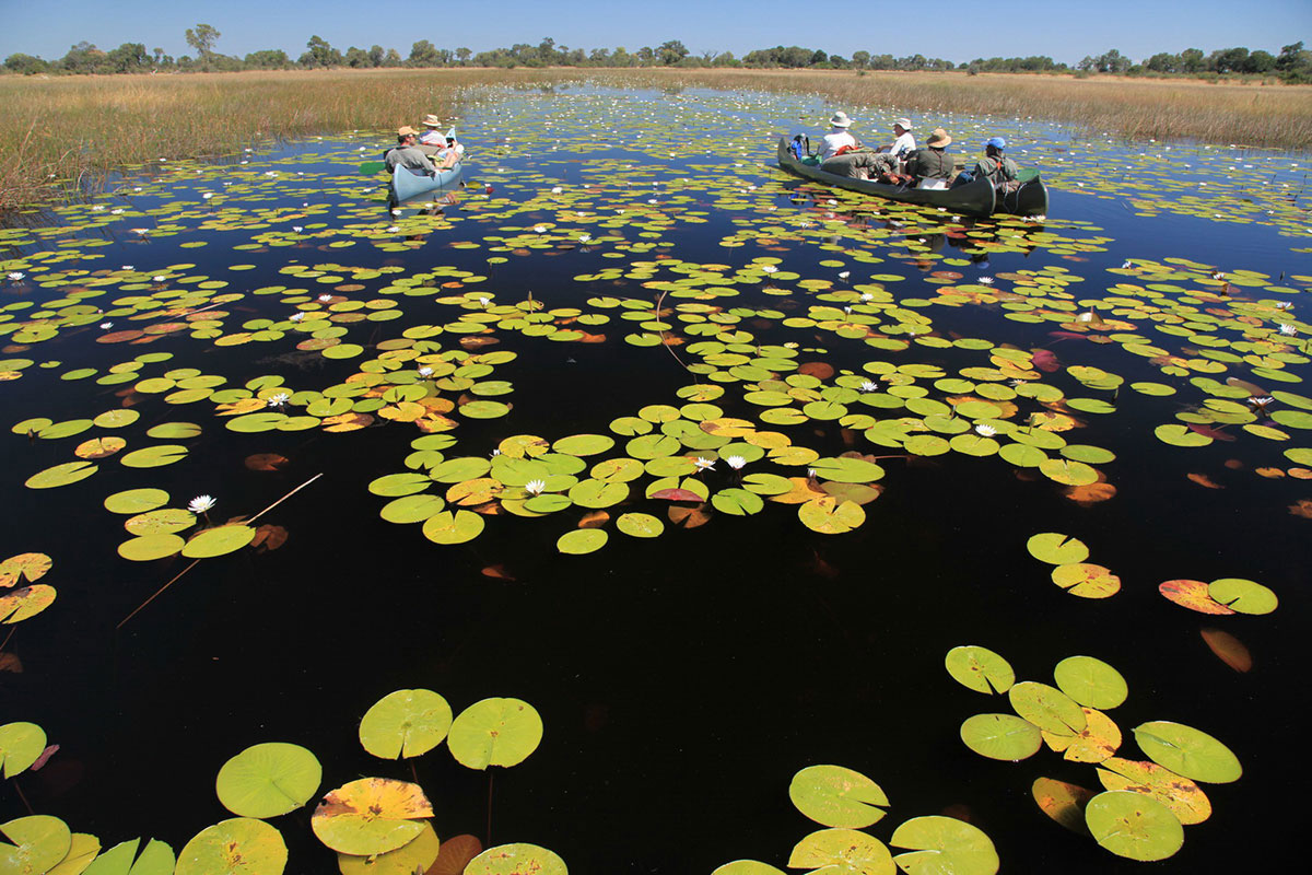 Canoe along the Selinda Spillway, Botswana.