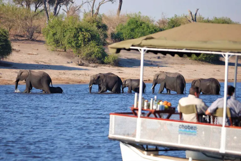 Boating with Chobe Under Canvas.