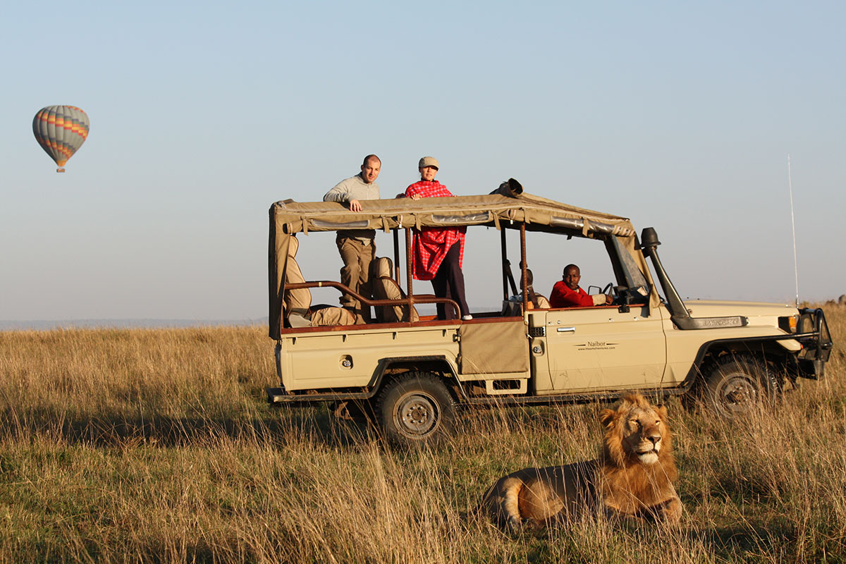 A lion lying close to a safari vehicle & a hot air balloon safari in the distance in the Masai Mara