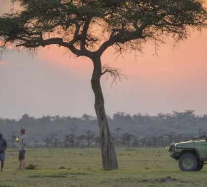 Guía de propinas para safaris en África