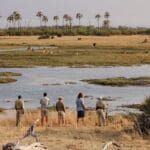 Caminatas guiadas por el Delta del Okavango | Sandibe