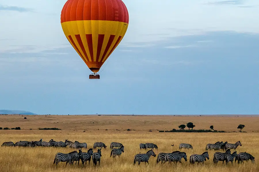 Paseo en globo aerostático sobre las cebras pastando en el Masai Mara, Kenia.