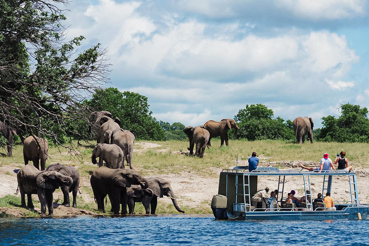 zq_juego_ver_chobe_parque_nacional