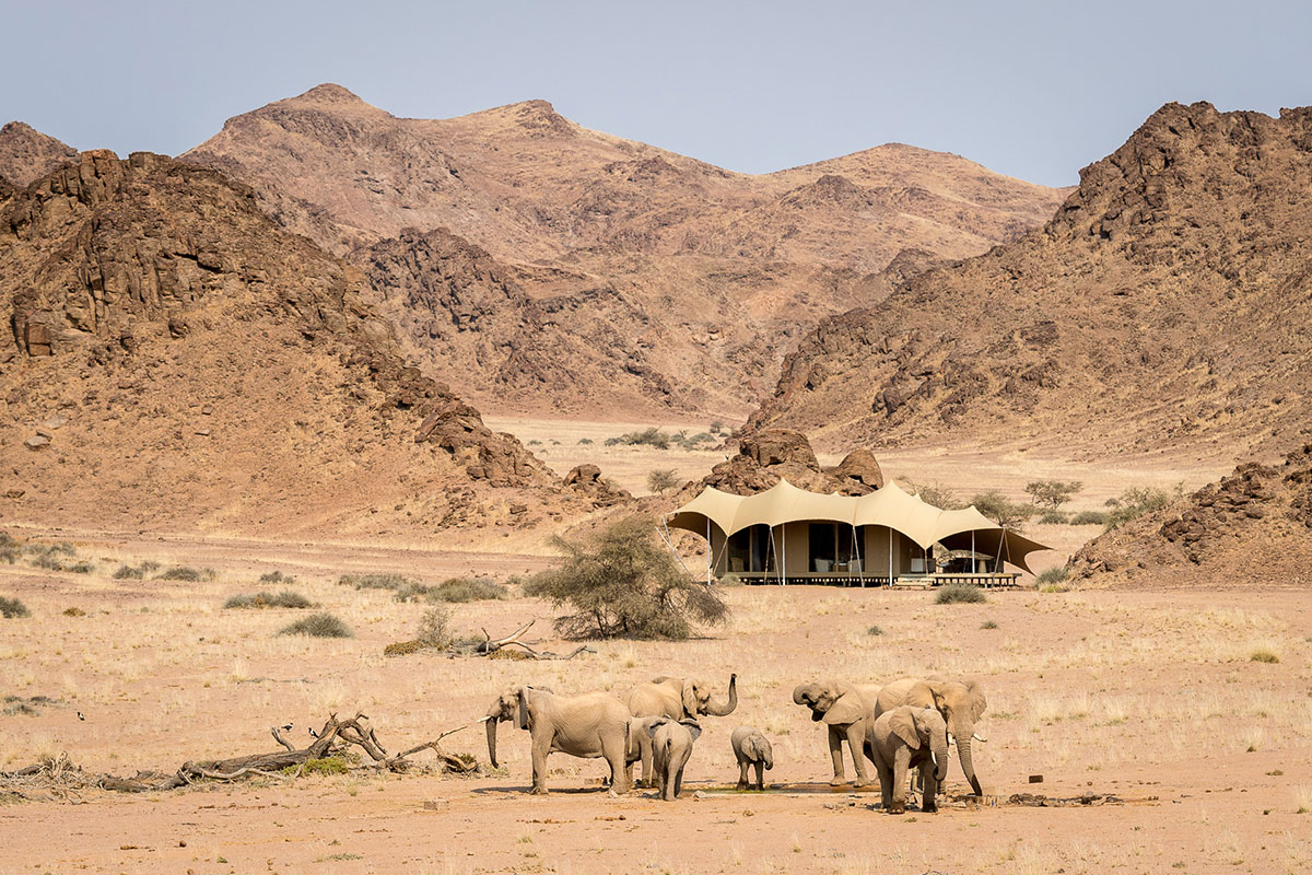 Elephants at Hoanib Skeleton Coast Camp in Namibia | Go2Africa