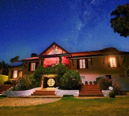 The Litchi Tree Guesthouse at night.