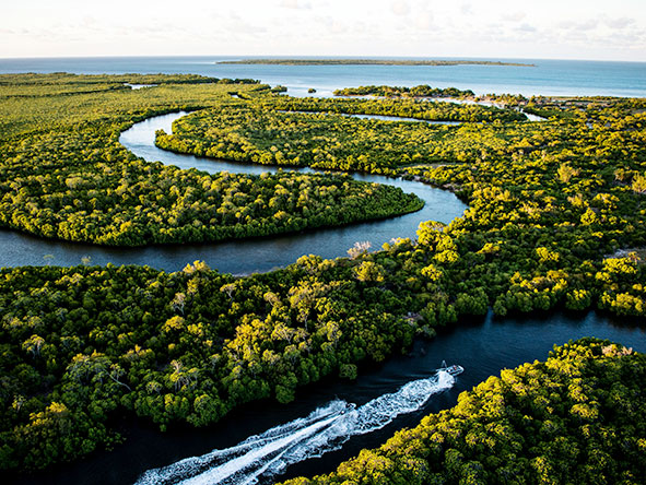 Explore the snaking waterways and a mangrove estuary in north-western Madagascar.
