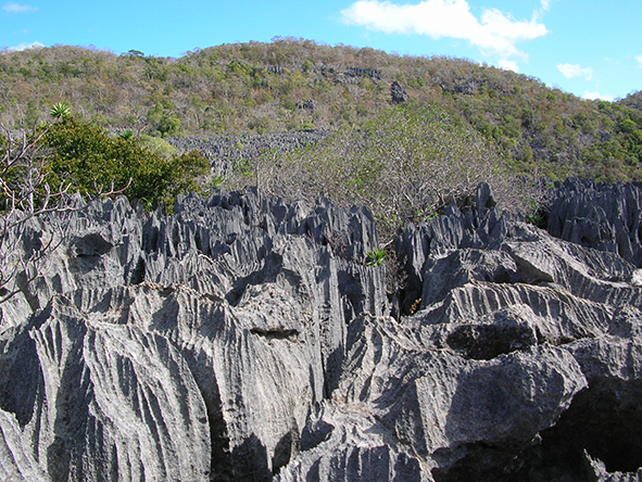 Seek out the razor sharp limestone pinnacles of Tsingy Bemaraha Strict Nature Reserve.