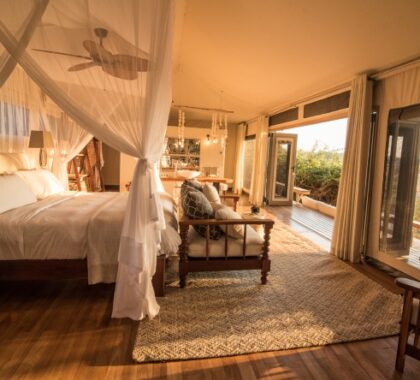 Your private tented suite at Chkwenya provides exceptional views of your surrounds.