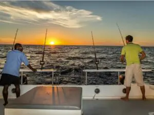 Opte por excursiones de pesca para pescar su propia cena.