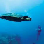 Tsarabanjina está rodeada de aguas azul zafiro, ideales para el submarinismo.