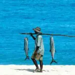 Disfrute del delicioso marisco recién sacado del barco y de las encantadoras vistas del océano Índico.