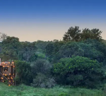 Sleep Under the Stars: Africa’s Best Star-Beds