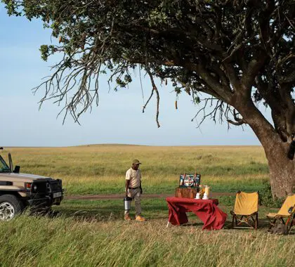 Bush breakfast.
