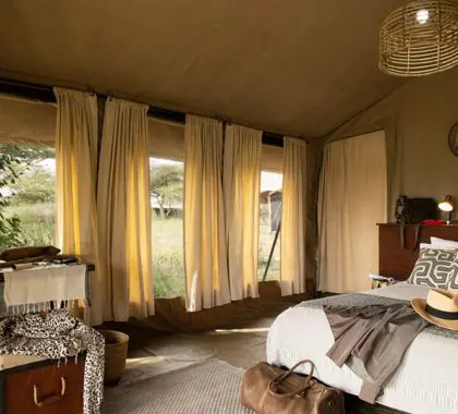 Deluxe tent.