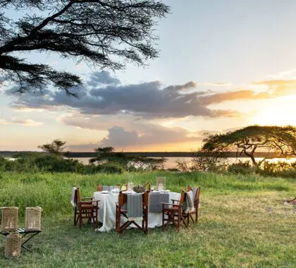 Serengeti Sojourn