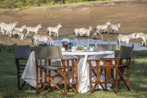 Alfresco dining, with zebra in sight.