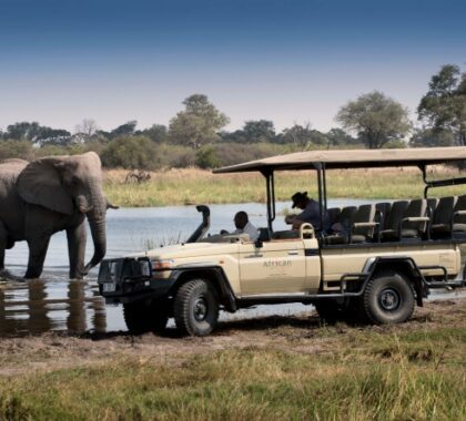 Game drives, walking safaris and night drives in a private concession.