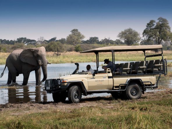Game drives, walking safaris and night drives in a private concession.