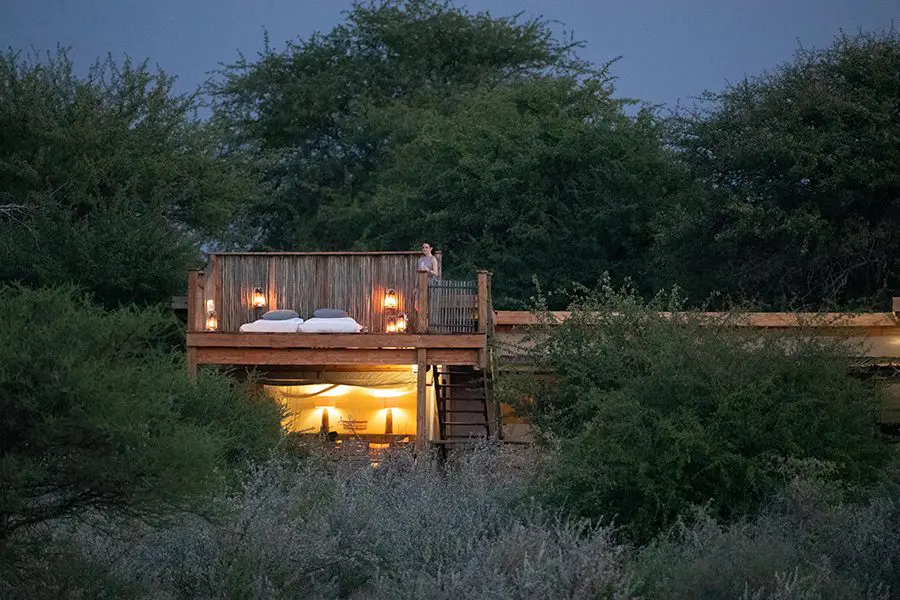 Kalahari Plains star bed in Kalahari Game Reserve, Kalahari Desert, Botswana.