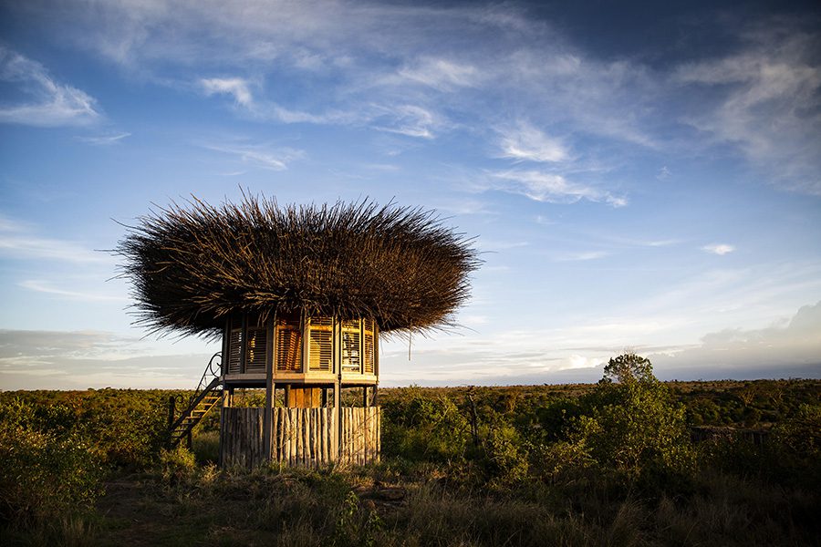 Segera Bird's Nest star bed in Laikipia Plateau, Kenya.