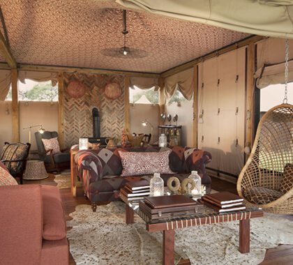 Recently re-built, Somalisa Tented Camp has upgraded its level of accommodation to that of complete comfort and luxury.