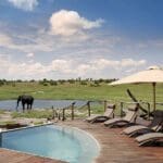 La zona de terraza principal tiene una pequeña piscina para los huéspedes con vistas a la piscina de los elefantes.