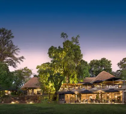 Exterior de Stanley & Livingstone.