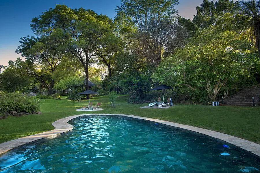 Swimming pool at Stanley & Livingstone.