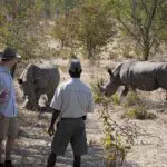 Emocionantes safaris a pie.