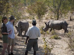 Emocionantes safaris a pie.