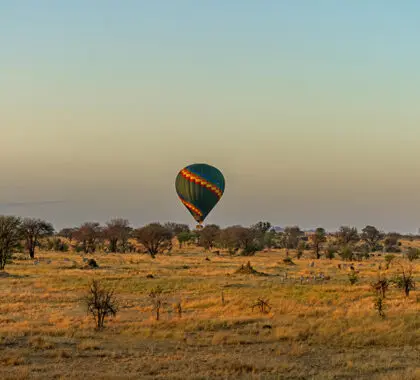 lemala-mpingo-ridge-hot-air-balloon-31