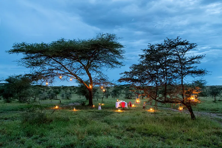 Dine under the stars.