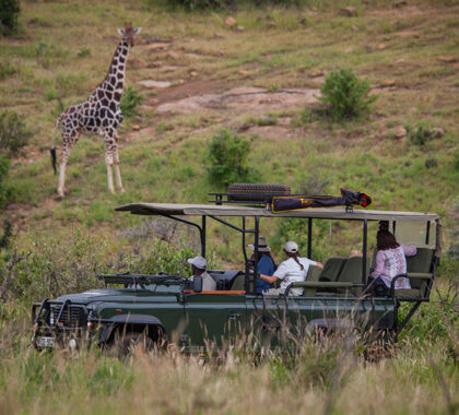 Game drives at Loisaba takes place in a 56 000 acre private conservancy.