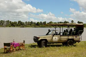 Explore Selous Game Reserve, Africa's largest game reserve.
