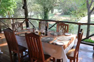 Dine on delicious international and African cuisine.