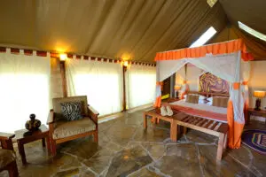 Sleep well in spacious tented chalets.