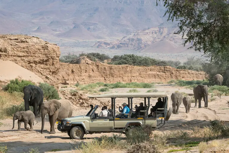 Wilderness Damaraland Camp game drive.