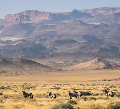 Damaraland, donde la belleza agreste se une a los cielos estrellados | Wilderness Damaraland