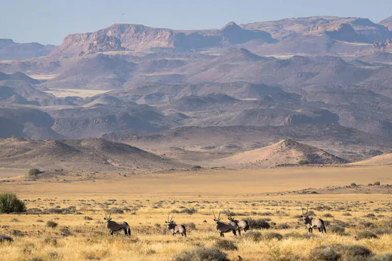 Damaraland - where rugged beauty meets starry skies | Wilderness Damaraland