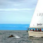 Alquiler de barcos de alquiler.