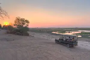 Safari nocturno en el Parque Nacional de Chobe. 