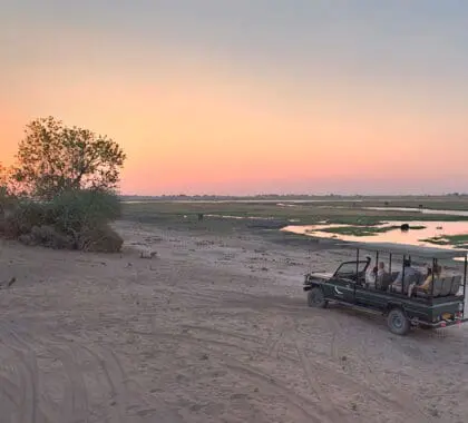 An evening game drive in Chobe National Park. 