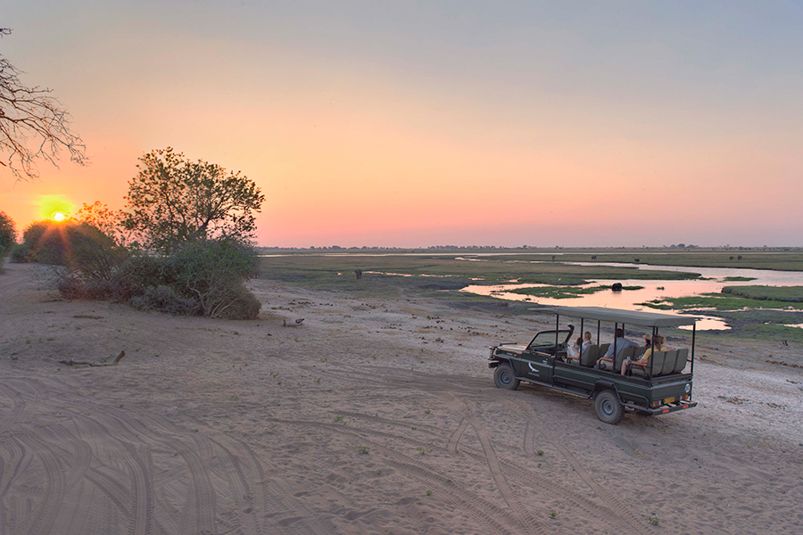 An evening game drive in Chobe National Park. 