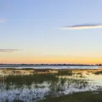 Los exuberantes paisajes del río Chobe en Green Season. 