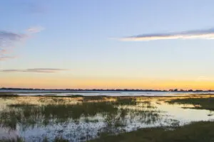 Los exuberantes paisajes del río Chobe en Green Season. 