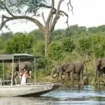 Un safari en barco por Chobe. 