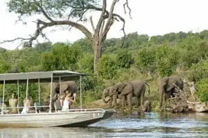 Un safari en barco por Chobe. 