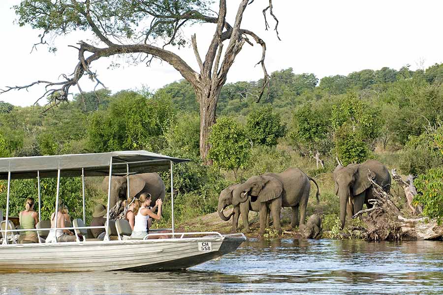 A boating safari in Chobe. 