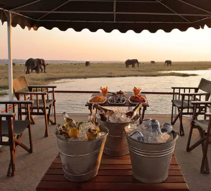 A sunset safari on the Chobe River. 